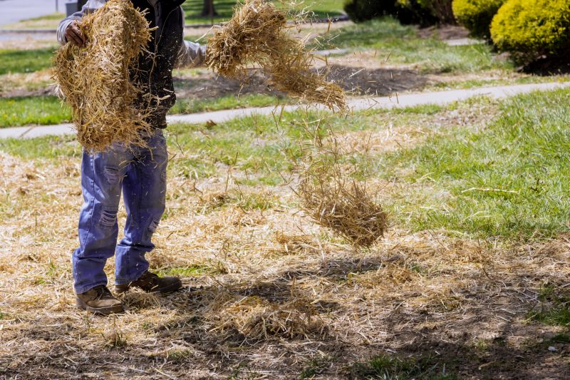 Pine Straw Removal