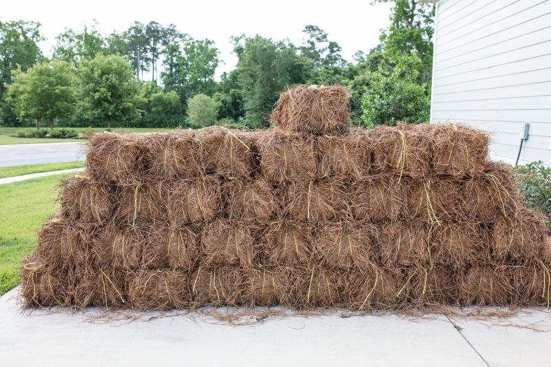 Pine Straw Removal Costs — Cost of Pine Straw Removal