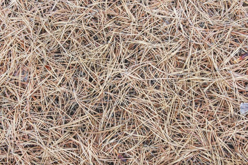 Pine Straw Removal Costs — Cost of Pine Straw Removal