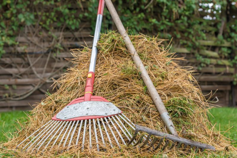 Pine Straw Removal Costs — Cost of Pine Straw Removal