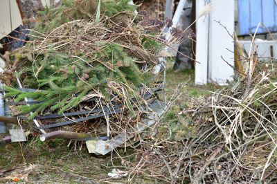 Pine Straw Removal Costs — Cost of Pine Straw Removal