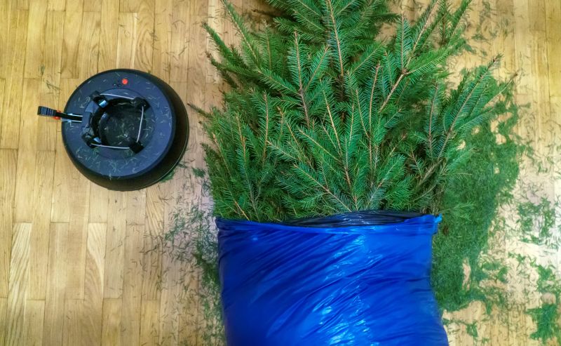 Pine Straw Removal Costs — Cost of Pine Straw Removal