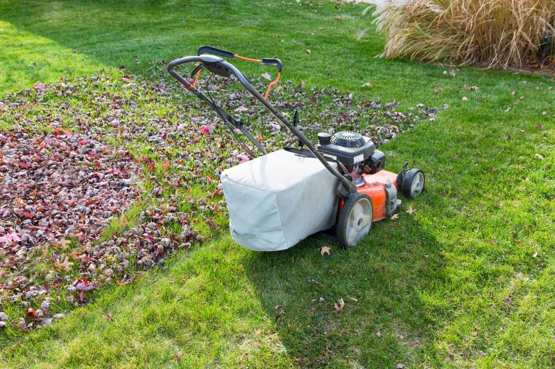 Leaf Removal Machinery