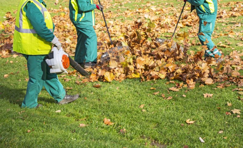 Autumn Yard Cleanup Crew