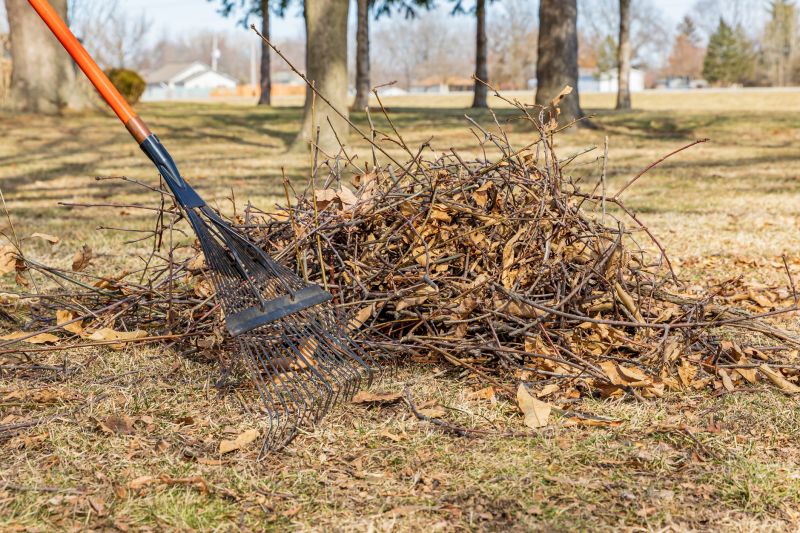 Mulched Leaves