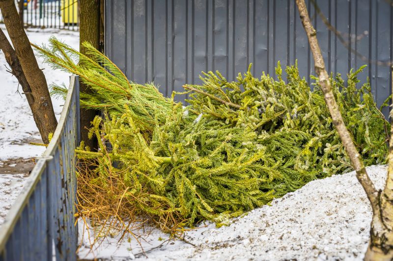 Fall Pine Straw Cleanup