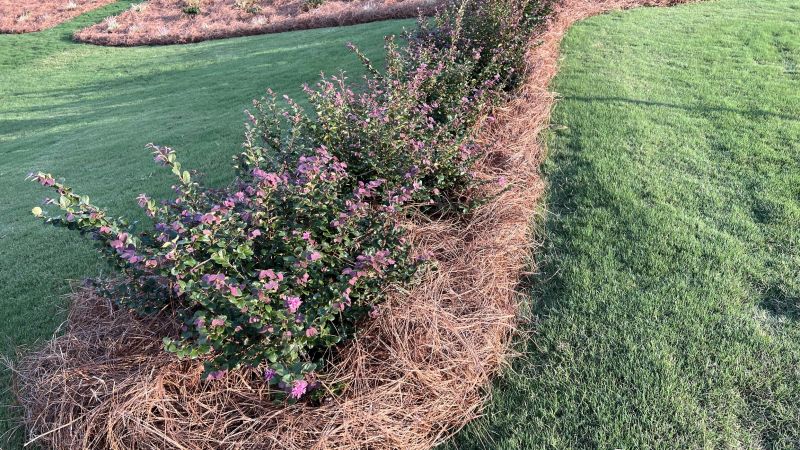 Property Management Companies